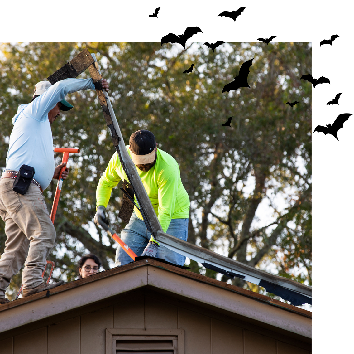 roofing contractors on top of a roof with an overlay of cartoon bats to fit the theme of the blog.
