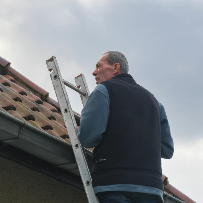 NOL_Blog_2026_May_What Florida Homeowners Should Know About Hurricane Roof Damage